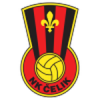 Čelik